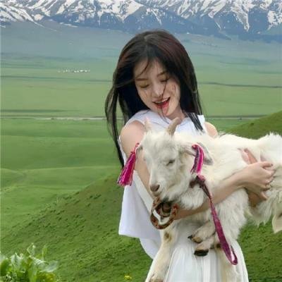 鹿特丹大轰炸